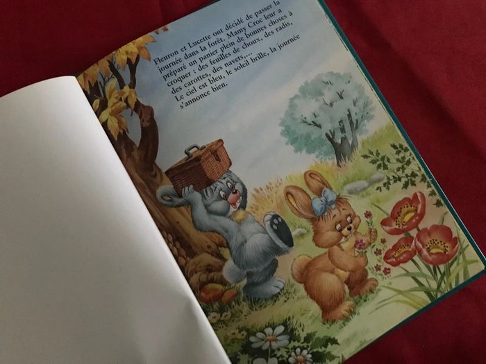 Livre petit lapin bleu - photo numéro 4