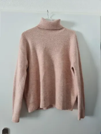 Pull col roulé Bizzbee