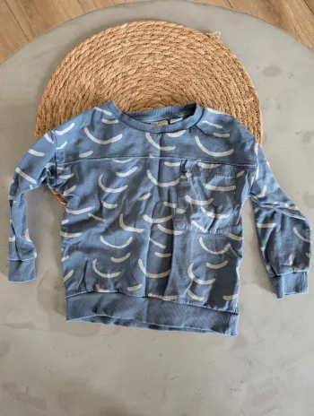 pull Zara léger 2-3 ans