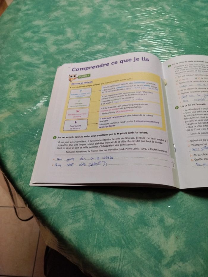 Mini chouette - photo numéro 7