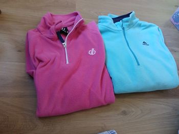 Vestes polaires