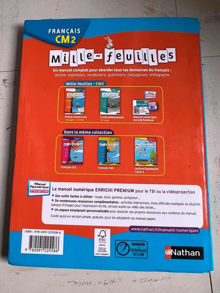 Livre mille-feuilles cm2 - photo numéro 3