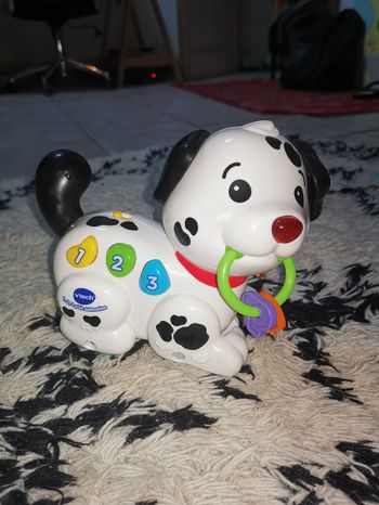 Ptit dalmatien chante et Cie