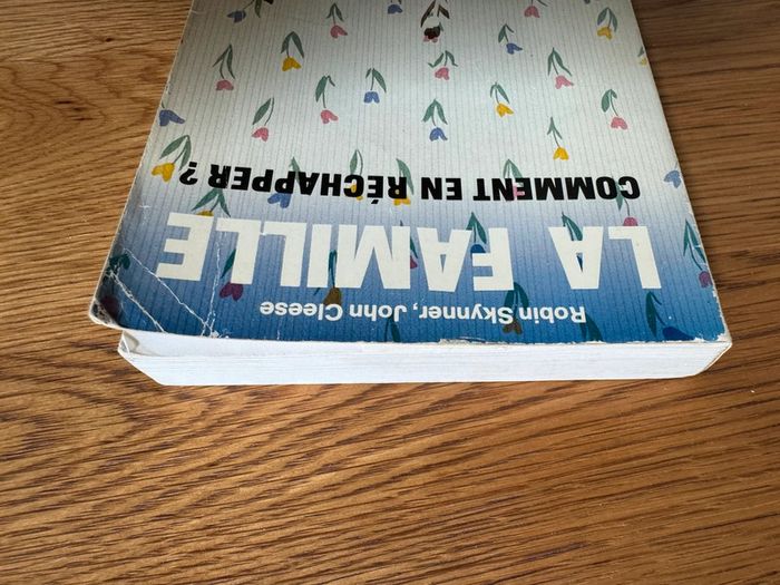 Lot de 2 livres La famille Comment en réchapper Vince & Joy – Lisa Jewell – Roman en français et - photo numéro 4