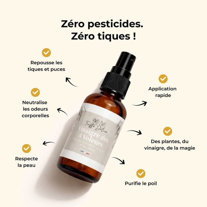 Vinaigre des 4 voleurs