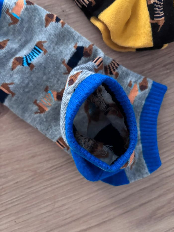 Lot de 3 paires Chaussettes courtes  motif chien teckel hommes femmes - photo numéro 9