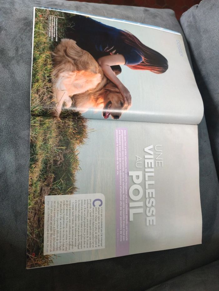 Magazine 30 millions d'amis numéro 391 janvier 2021 - photo numéro 5