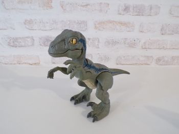 Dinosaure - Vélociraptor - Blue (J22)