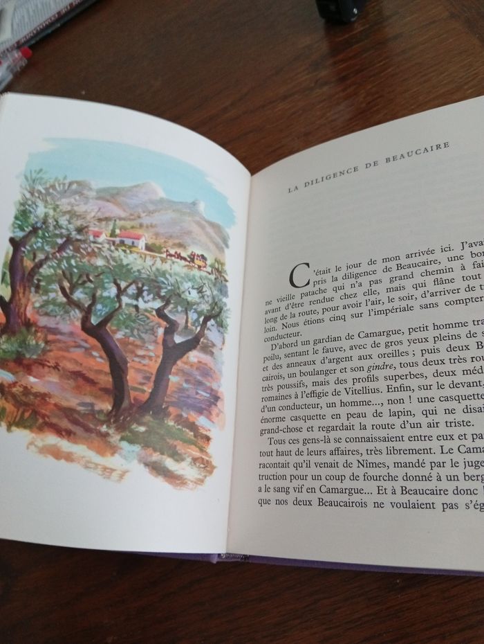 Les lettres de mon moulin - photo numéro 3