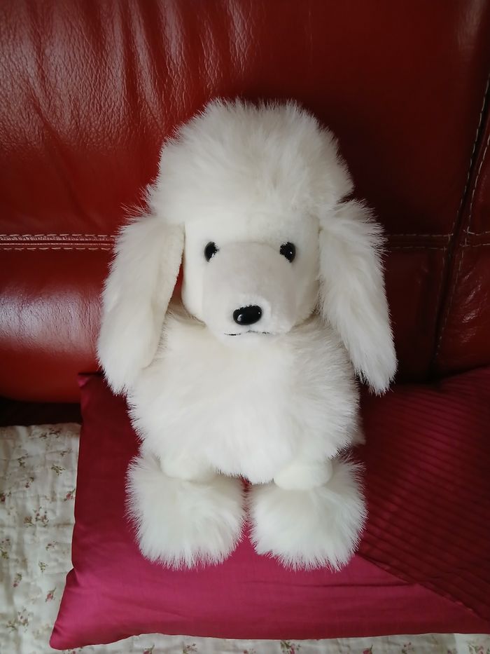 Peluche Caniche Royal  *29 cm - photo numéro 6