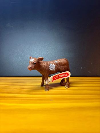 Veau texas longhorn