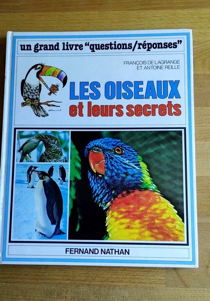 4 livres enfant nature et ses secrets Nathan - photo numéro 9
