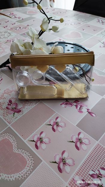 Trousse de voyage transparente
