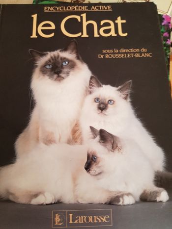 Encyclopédie sur le chat