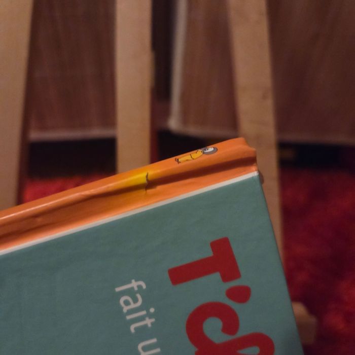 Livre enfant Nathan T’Choupi - photo numéro 3