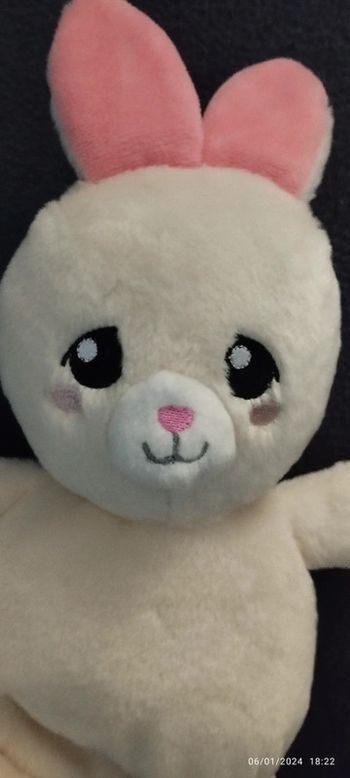 Peluche bouillotte