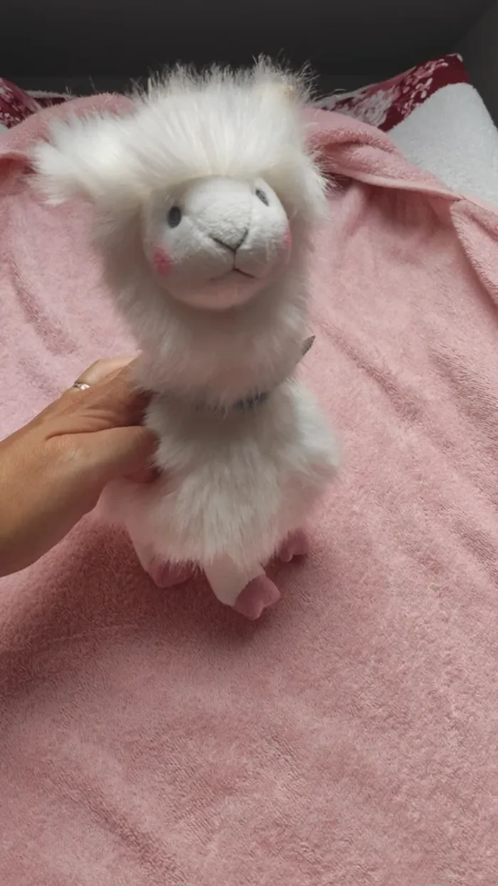 Histoire d'Ours
Peluche Lama 20cm - Blanc - photo numéro 2