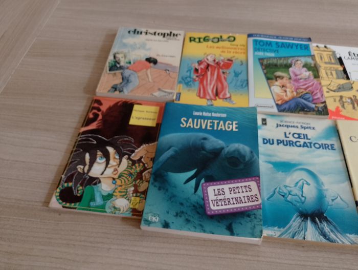 Lot de 10 livres de poches divers (18) - photo numéro 2