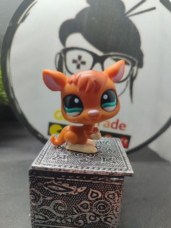Lps01157 My Littlest Petshop Pet Shop LPS  Hasbro Kangaroo Kangourou 1111 