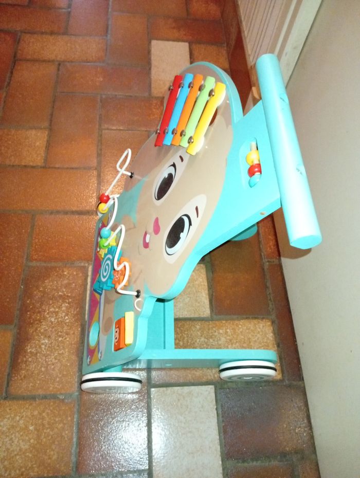 Chariot de marche - photo numéro 3