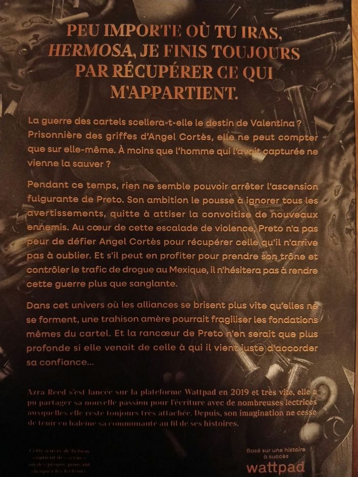 Trilogie "Valentina" de Azra Reed - photo numéro 3