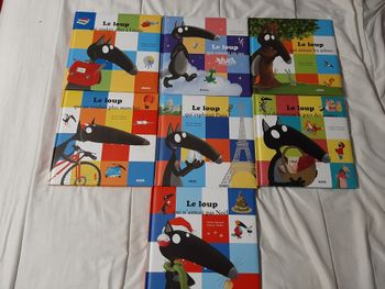 lot de 7 livres grand formats le loup