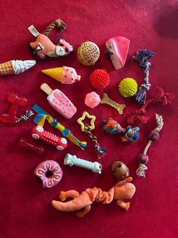 Lot jouets pour petits chiens