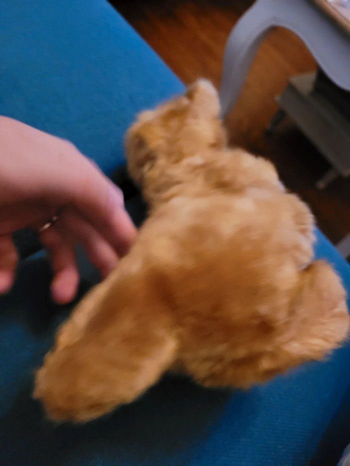 RARE Peluche Kangourou Boulgom 25cm beige blanc marron doudou France collection - photo numéro 4