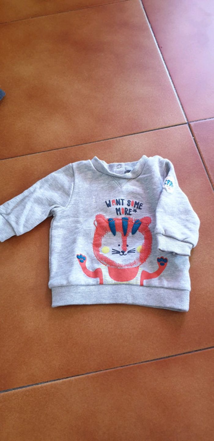 Lot pull - photo numéro 5