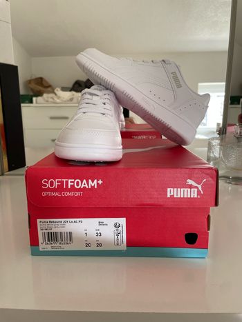 Basket puma