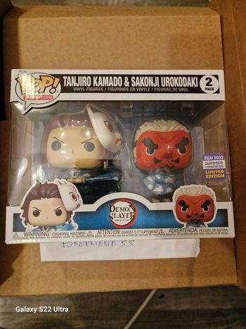 Tanjiro Kamado & Sakonji Urokodaki Demon Slayer