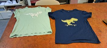 Lot T-shirt garçon 8ans