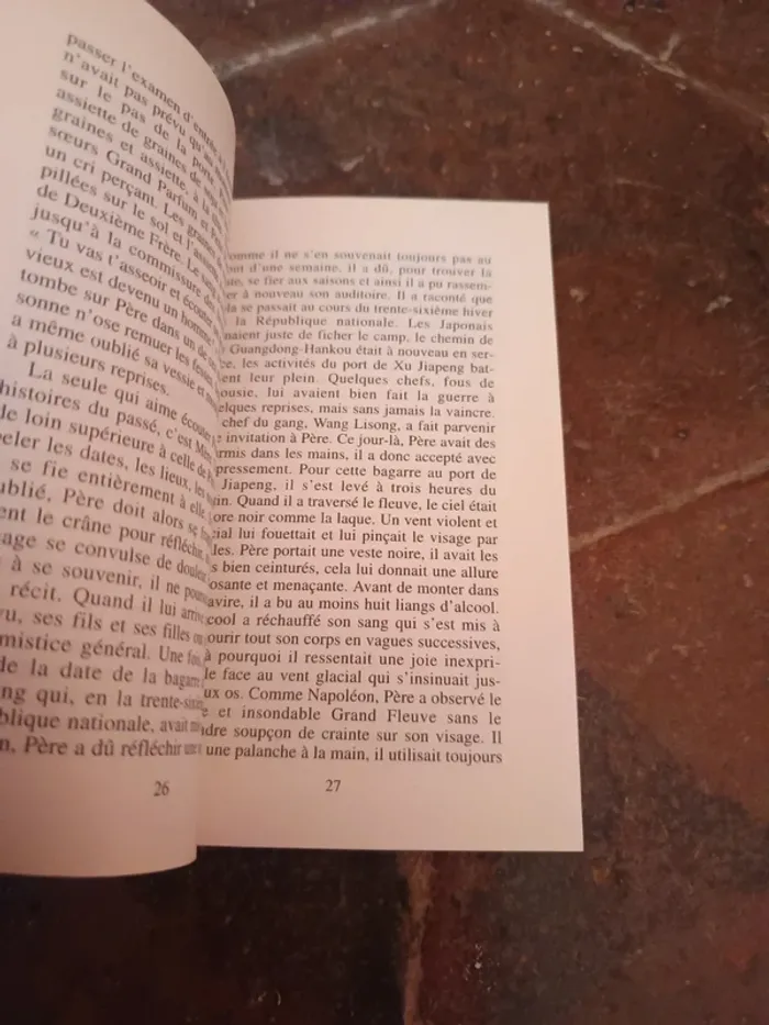 Livre une vue splendide - photo numéro 3