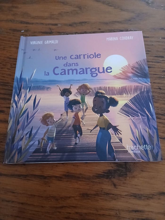 Une carriole dans la camargue - photo numéro 1