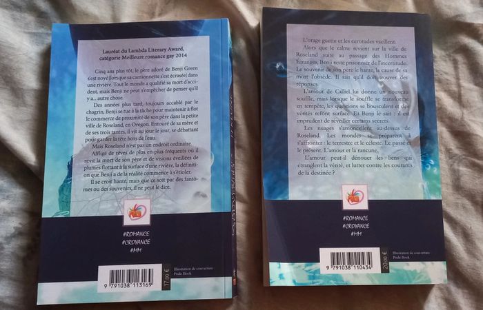 Livre new romance - photo numéro 2