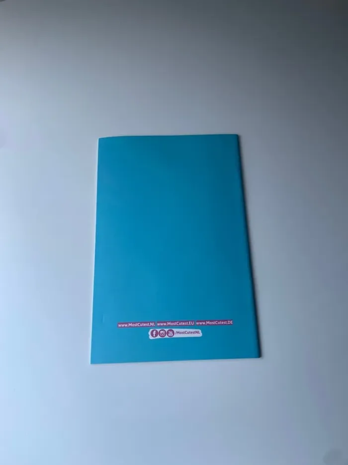 Carnet kawaii - photo numéro 2