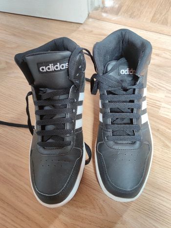 Adidas hoops 3.0 P44