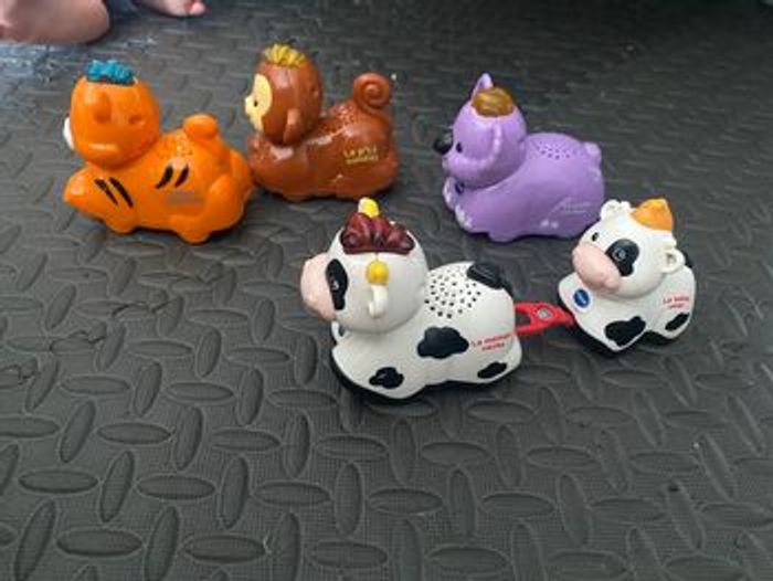 Tut tut animo - photo numéro 4