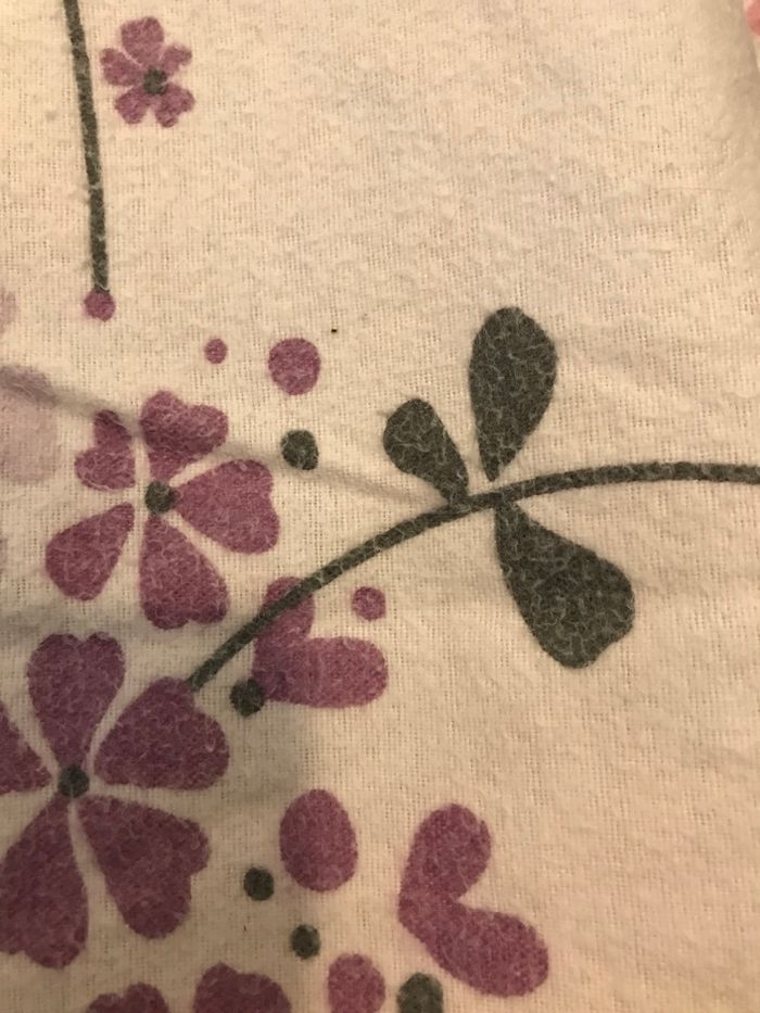 Trait oreiller - photo numéro 4