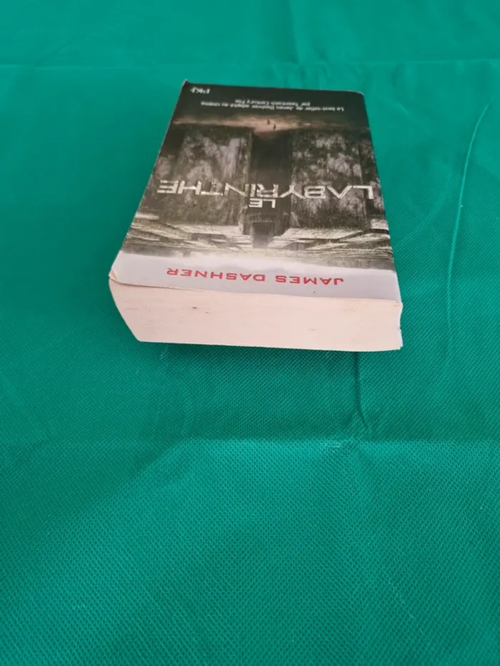 Le labyrinthe L'épreuve Livre 1 James Dashner - photo numéro 4