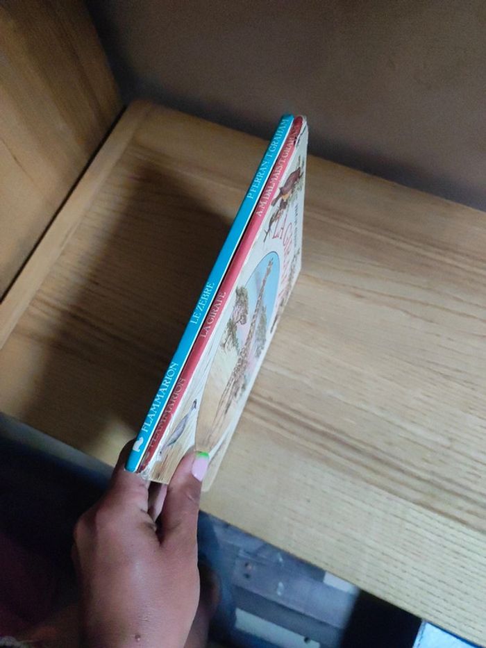 Lot de 2 livres mon amie - photo numéro 4