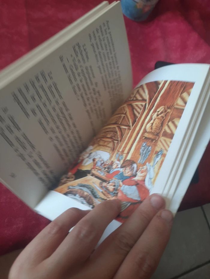 Livre berger levrault p c - photo numéro 4