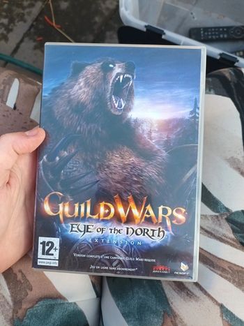 Jeu PC guildwars
