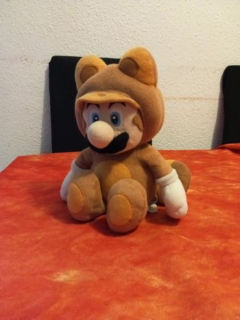 Super Mario Bros déguisement raton laveur