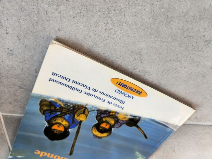 Livre enfant : L'enfant du toit du monde - photo numéro 3