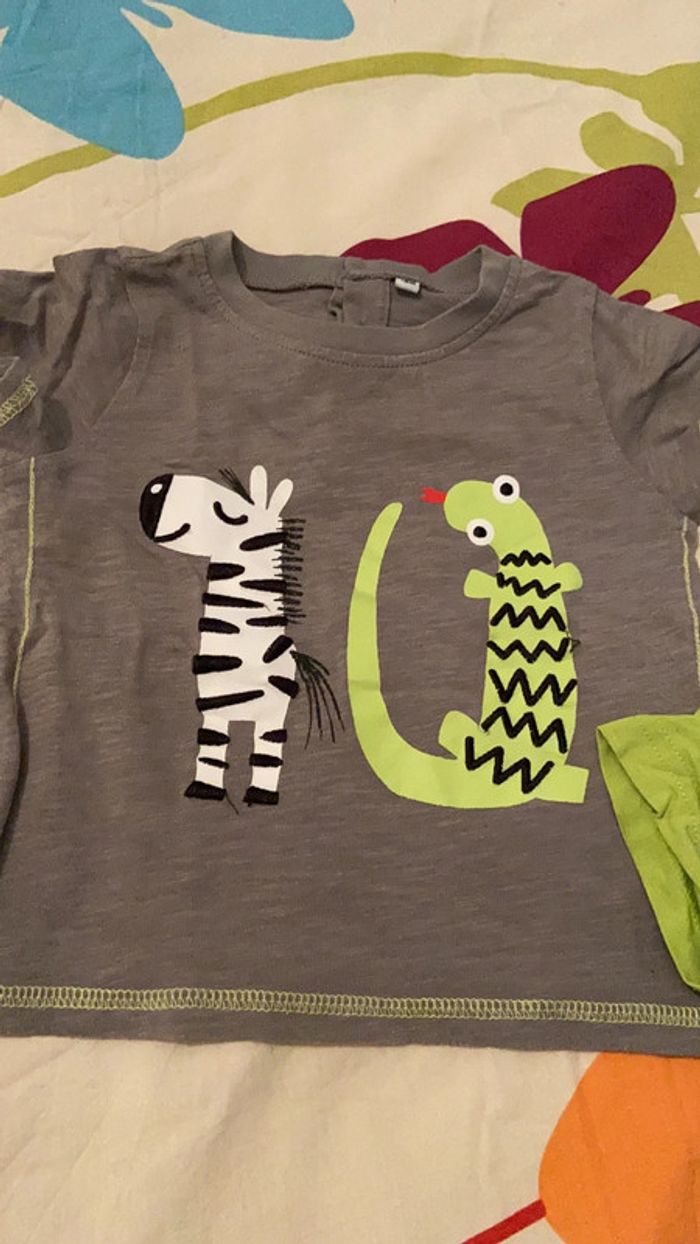 Lot tee shirts 18 mois - photo numéro 3