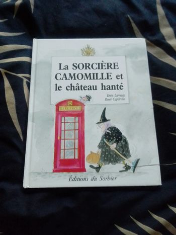 La sorcière camomille et le château hanté