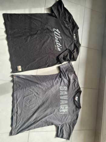 Lot 2 tee shirts Westin Savage Gear L et M 