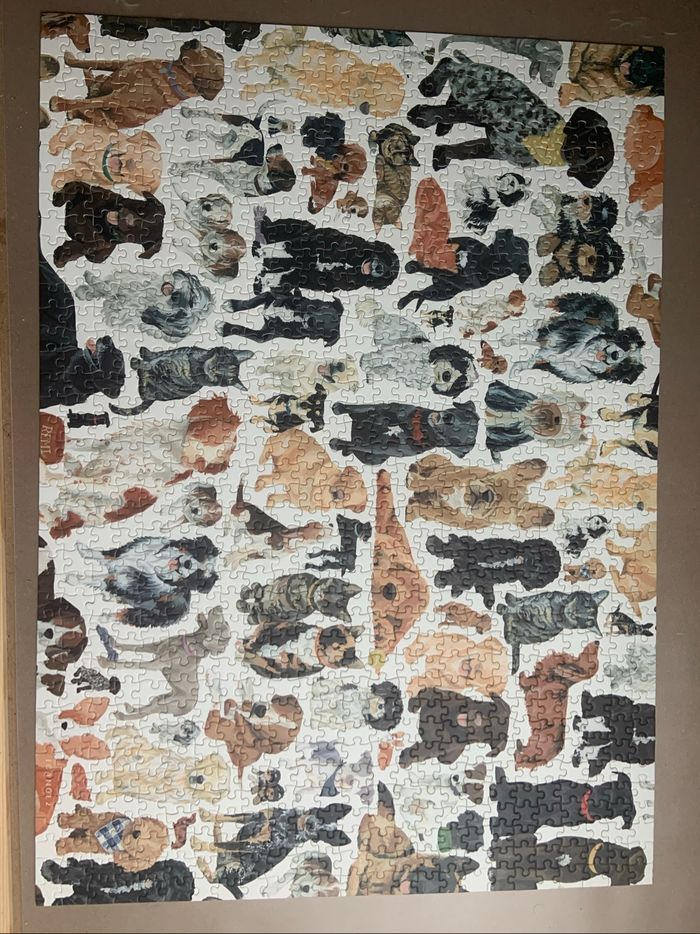 Puzzle 1,000 pièces - photo numéro 2
