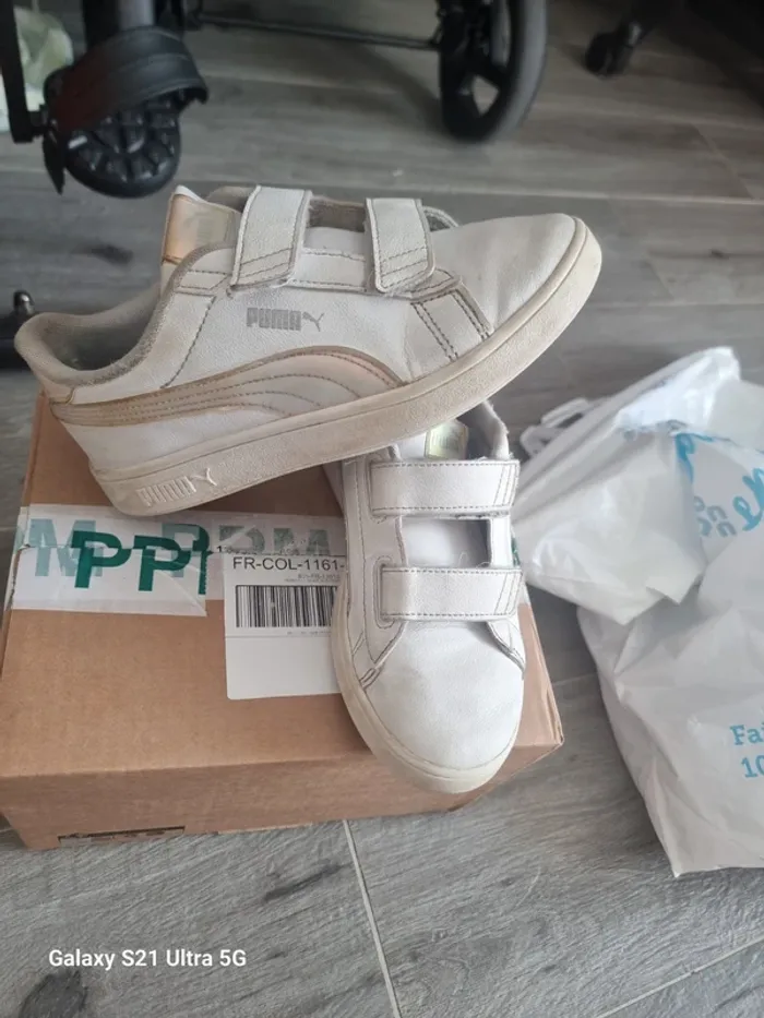 Basket puma